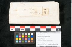 Foto (Objekt + Etikett) von Banksia ungeri Ettingshausen (NHMW-GEO-2024-0188-8144)